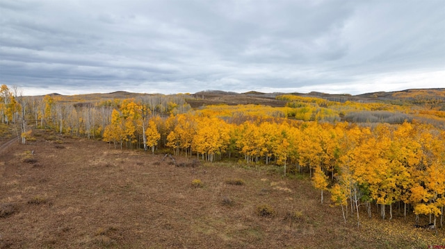 TBD Divide Road, Gateway CO, 81522 land for sale