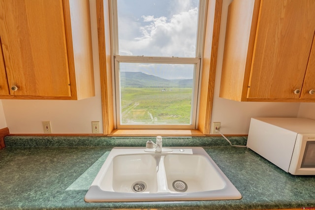 kitchen featuring sink