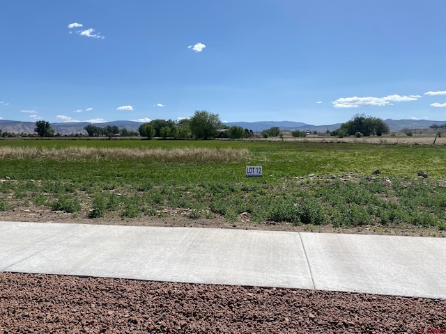 LOT12 6700th Rd, Montrose CO, 81401 land for sale