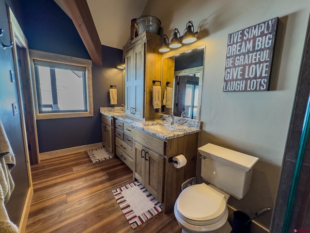 bathroom featuring oversized vanity, hardwood / wood-style flooring, toilet, and double sink