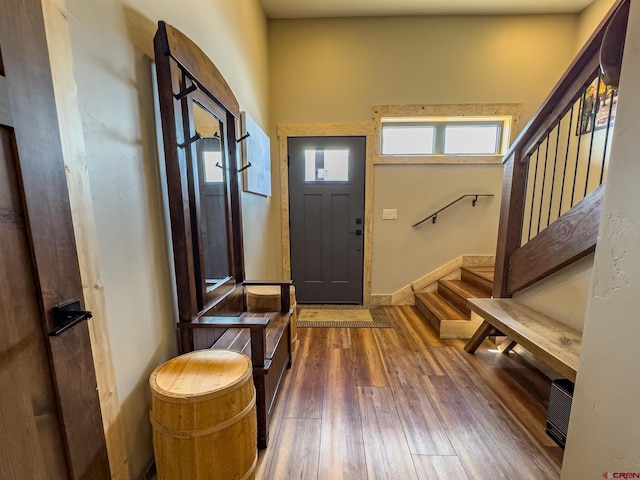 foyer entrance with a high ceiling and dark hardwood / wood-style flooring