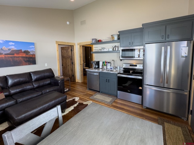 kitchen with light stone counters, high vaulted ceiling, dark wood-type flooring, appliances with stainless steel finishes, and sink