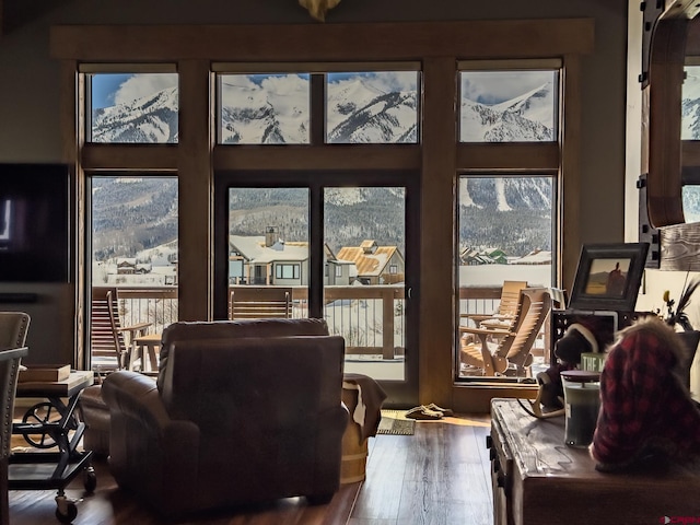 living room featuring hardwood / wood-style floors and a mountain view