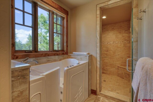 bathroom with shower with separate bathtub