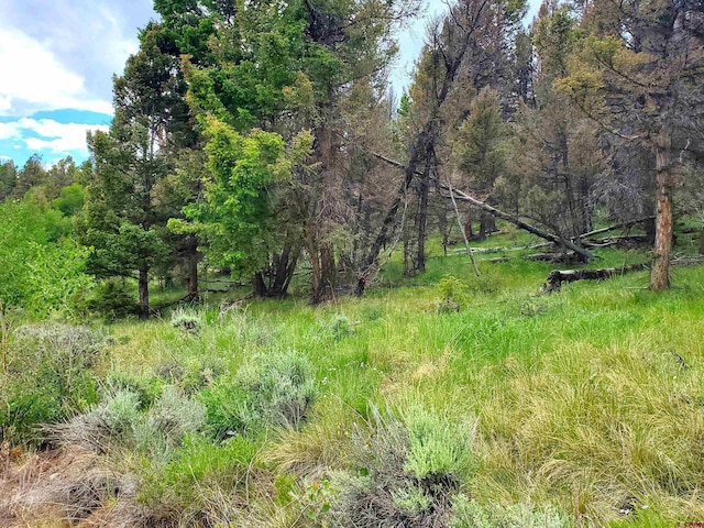 284 Kebler Trl, Powderhorn CO, 81243 land for sale