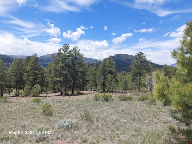 75 Skyline Dr, South Fork CO, 81154 land for sale