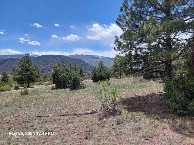 548 Blanca Vista Dr, South Fork CO, 81154 land for sale