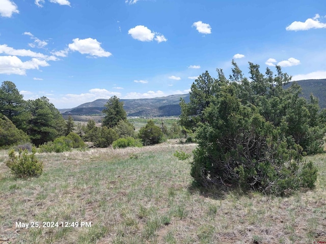 Listing photo 3 for 548 Blanca Vista Dr, South Fork CO 81154