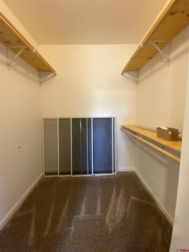 walk in closet with dark carpet