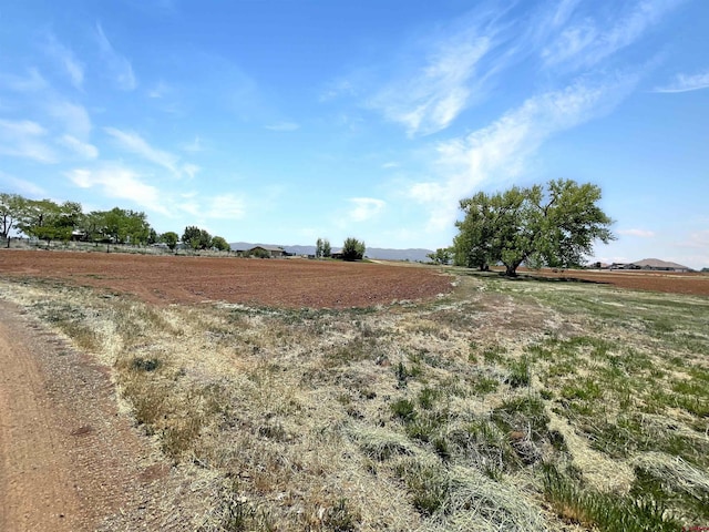 12936 Rd 24.4, Cortez, CO 81321 - view of yard featuring a rural view