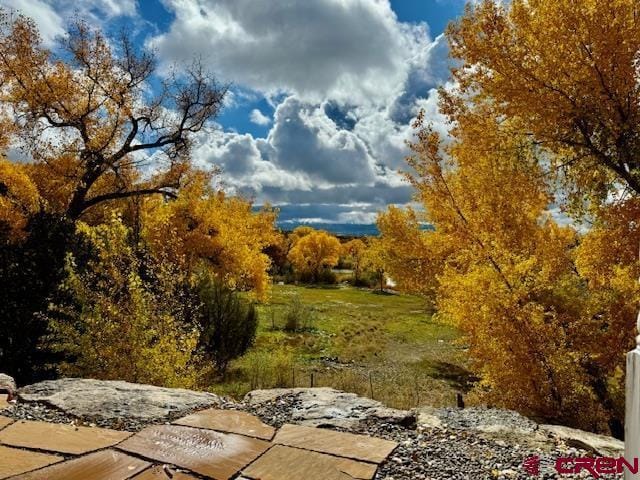 view of landscape