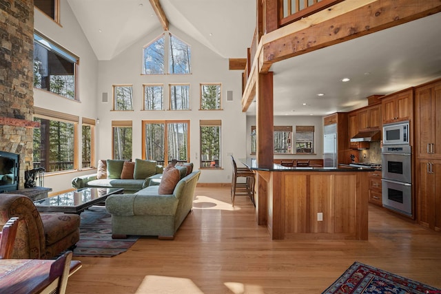 living room with a fireplace, a high ceiling, and light hardwood / wood-style flooring