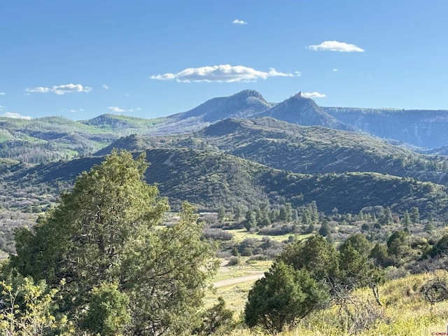 4625 Rd 31, Dolores CO, 81323 land for sale