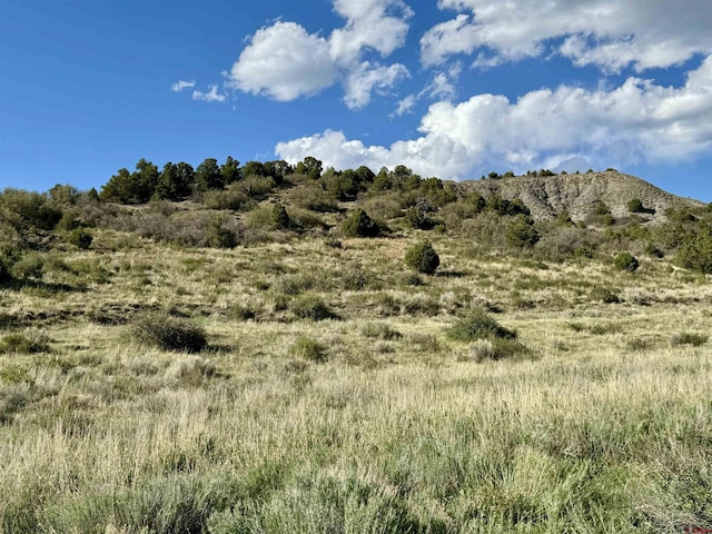 4625 Rd 31, Dolores, CO 81323