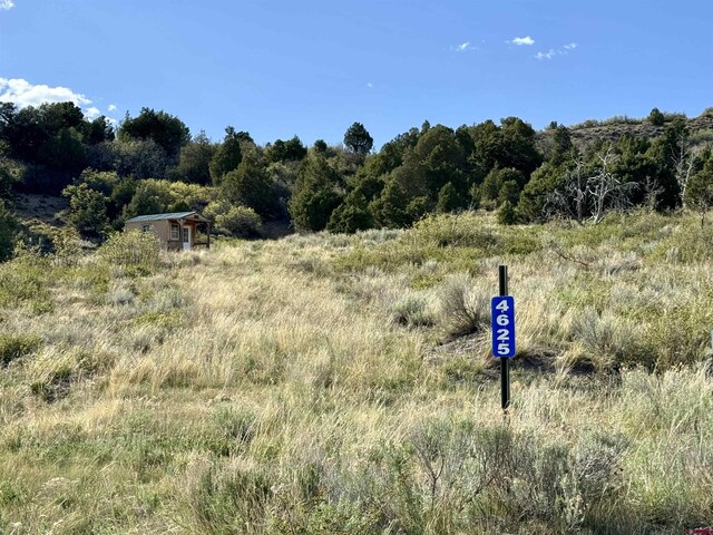 4625 Rd 31, Dolores, CO 81323