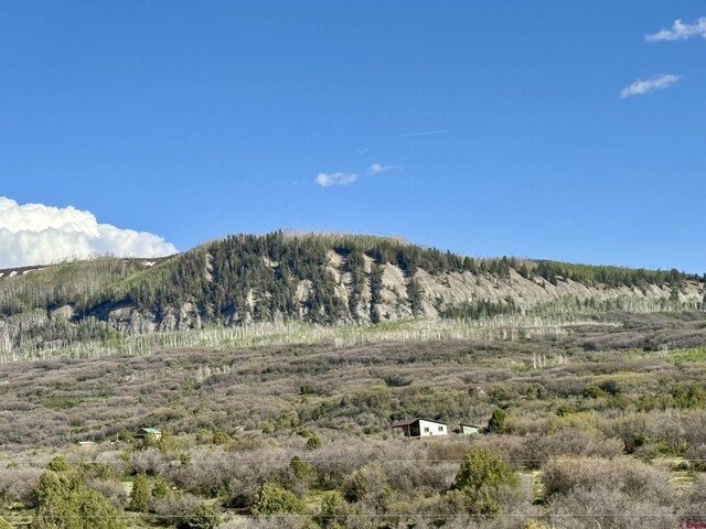 4625 Rd 31, Dolores, CO 81323