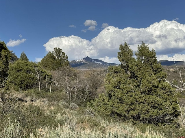 4625 Rd 31, Dolores, CO 81323