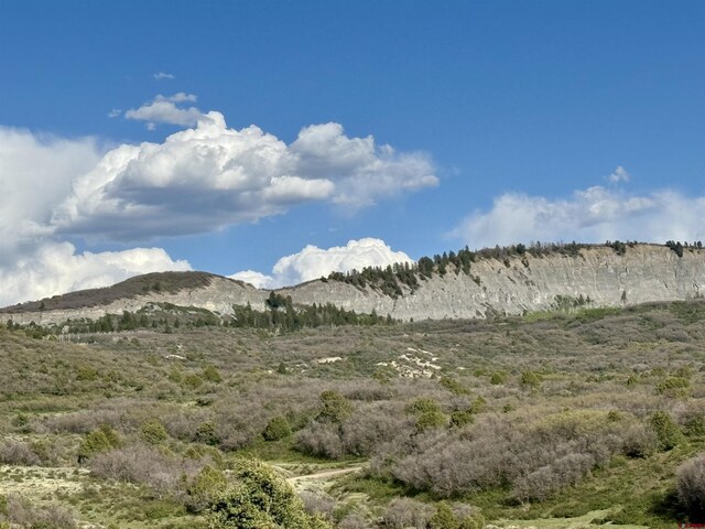 4625 Rd 31, Dolores, CO 81323