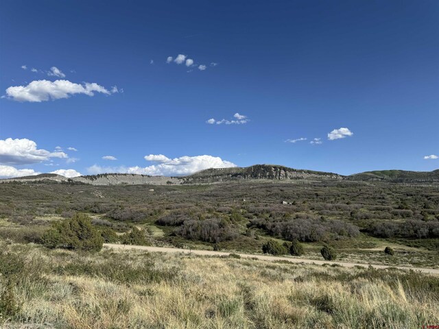 4625 Rd 31, Dolores, CO 81323