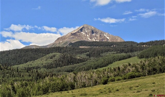 4625 Rd 31, Dolores, CO 81323