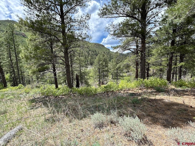 59 Arnica Ct, Durango CO, 81301 land for sale