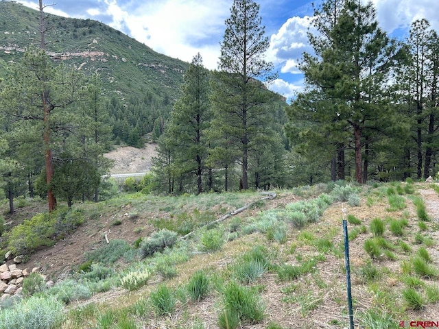 Listing photo 2 for 59 Arnica Ct, Durango CO 81301