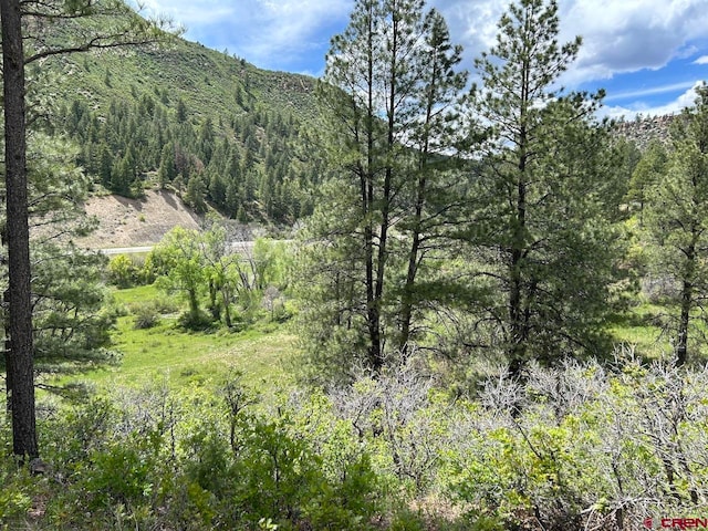 Listing photo 3 for 59 Arnica Ct, Durango CO 81301