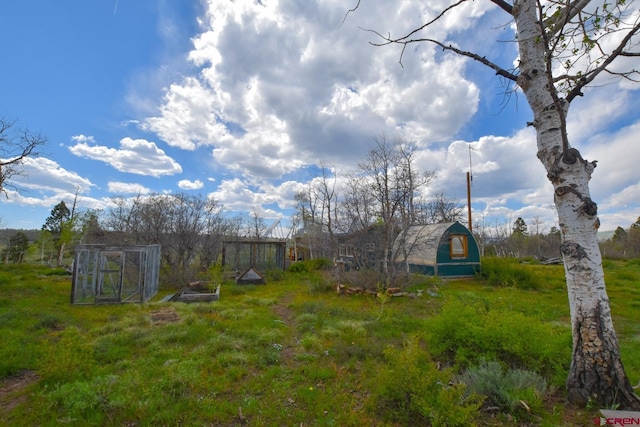 view of yard with an outdoor structure