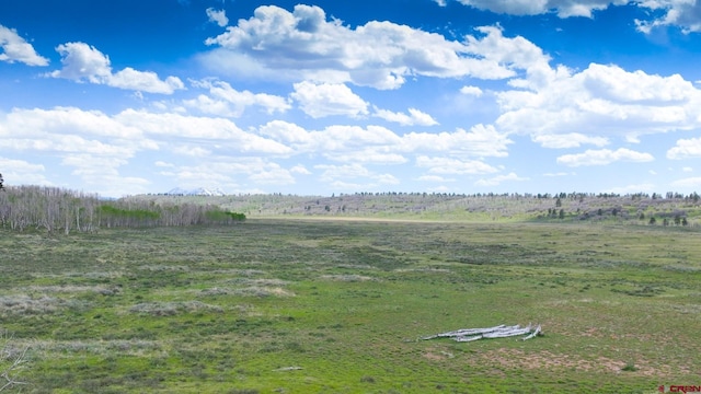 view of yard featuring a rural view