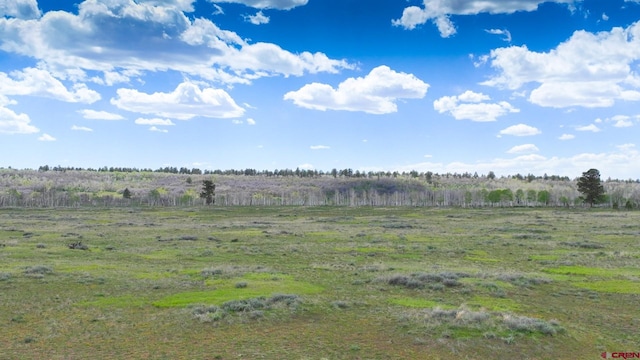 view of yard featuring a rural view