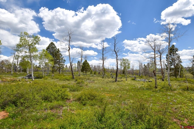 view of mother earth's splendor