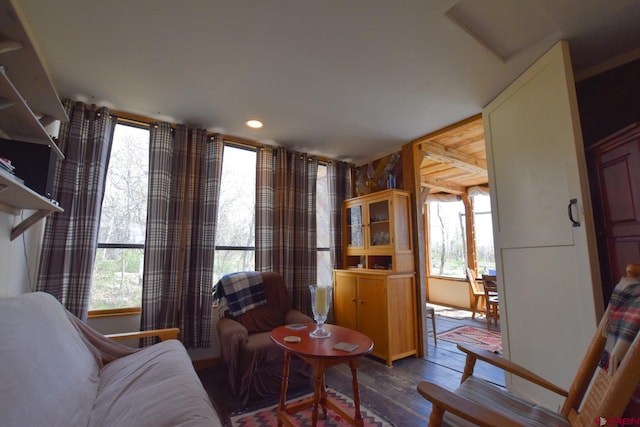 living room with hardwood / wood-style flooring