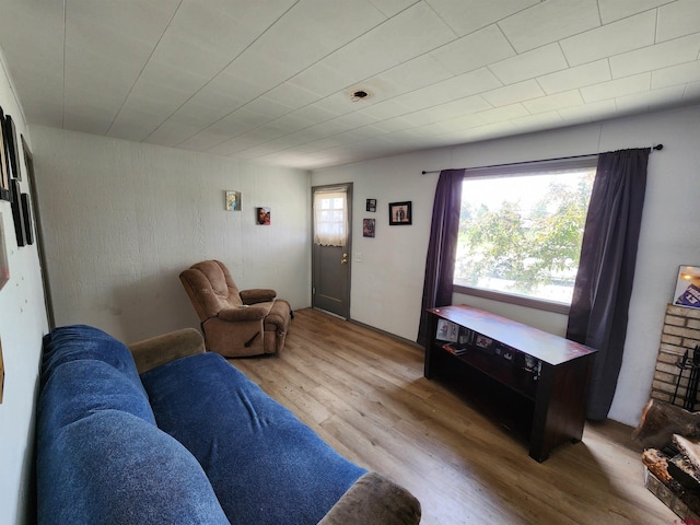 living room featuring wood-type flooring