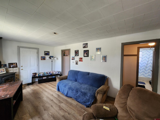 living room with hardwood / wood-style floors