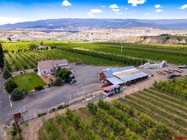 aerial view featuring a mountain view and a rural view