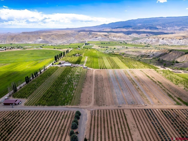 birds eye view of property featuring a mountain view and a rural view