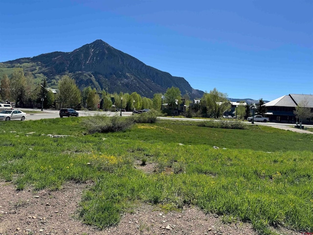 520 Teocalli Ave, Crested Butte CO, 81224 land for sale