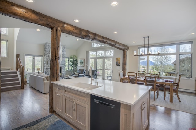 kitchen with dishwasher, sink, a kitchen island with sink, and a wealth of natural light