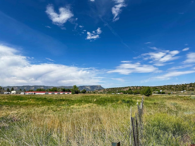 Listing photo 3 for 960 Bauer, Mancos CO 81328