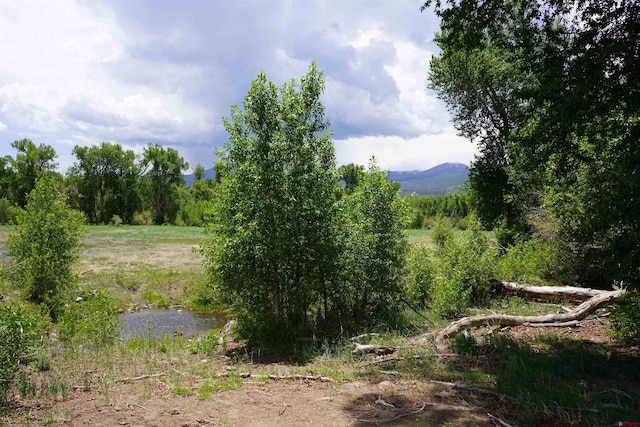 1886 River Island Dr, South Fork CO, 81154 land for sale