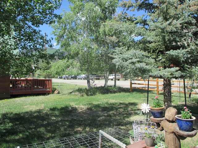 view of yard featuring a wooden deck