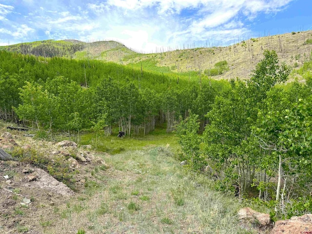 380 Bobcat Ct, South Fork CO, 81154 land for sale