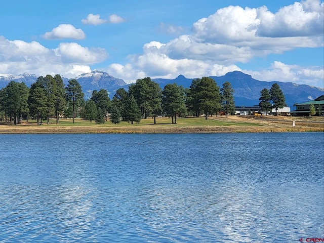 water view with a mountain view