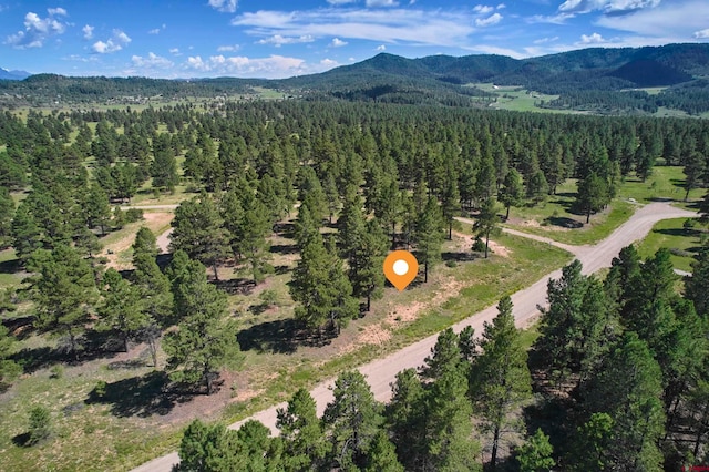 1480 Trails Blvd, Pagosa Springs CO, 81147 land for sale