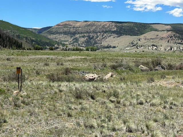 64 W Bristol Head Rd, Creede CO, 81130 land for sale