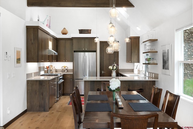 kitchen with light hardwood / wood-style floors, stainless steel appliances, pendant lighting, dark brown cabinetry, and sink