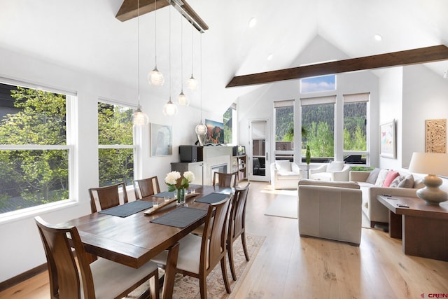 dining area with high vaulted ceiling and light hardwood / wood-style flooring