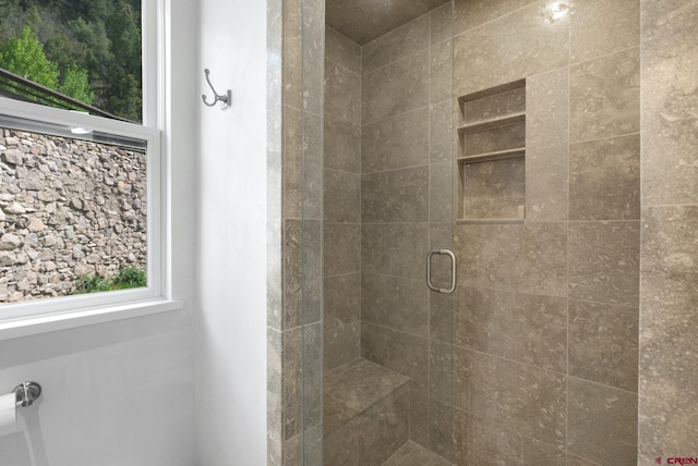 bathroom with a shower stall