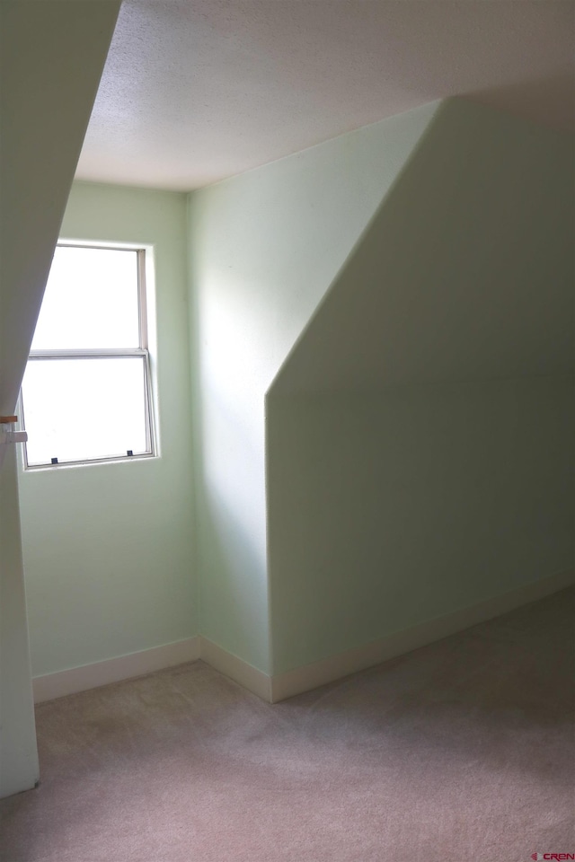 bonus room featuring a textured ceiling and carpet flooring