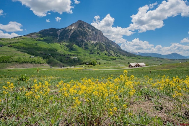 375 Saddle Ridge Ranch Rd, Crested Butte CO, 81224 land for sale